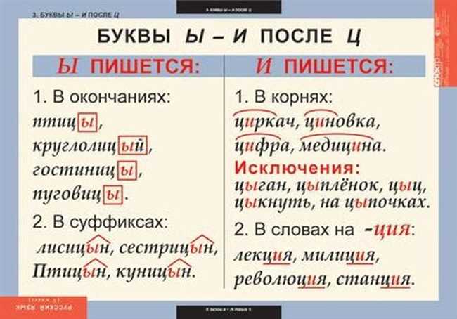 Как правильно пишется круглолицый или круглолиций: правило и правила