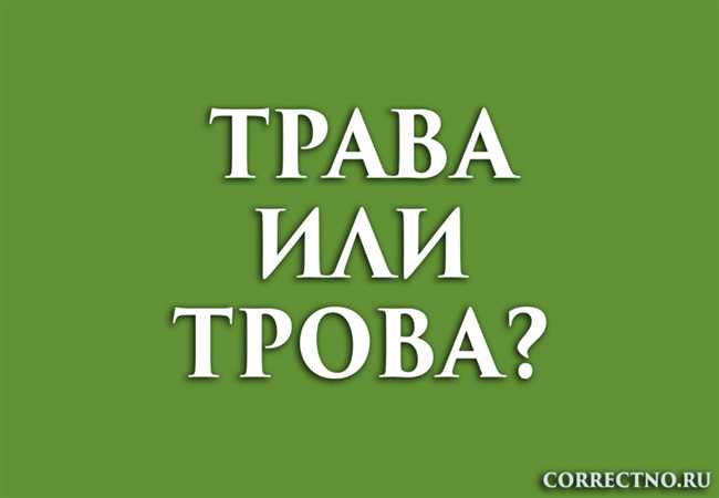 Как правильно пишется: нескошенная трава или не скошенная трава? Правила русского языка