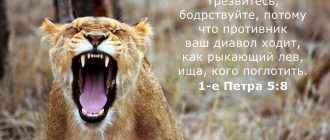 Как правильно пишется похож или похожь? Быстрый определитель правописания слова