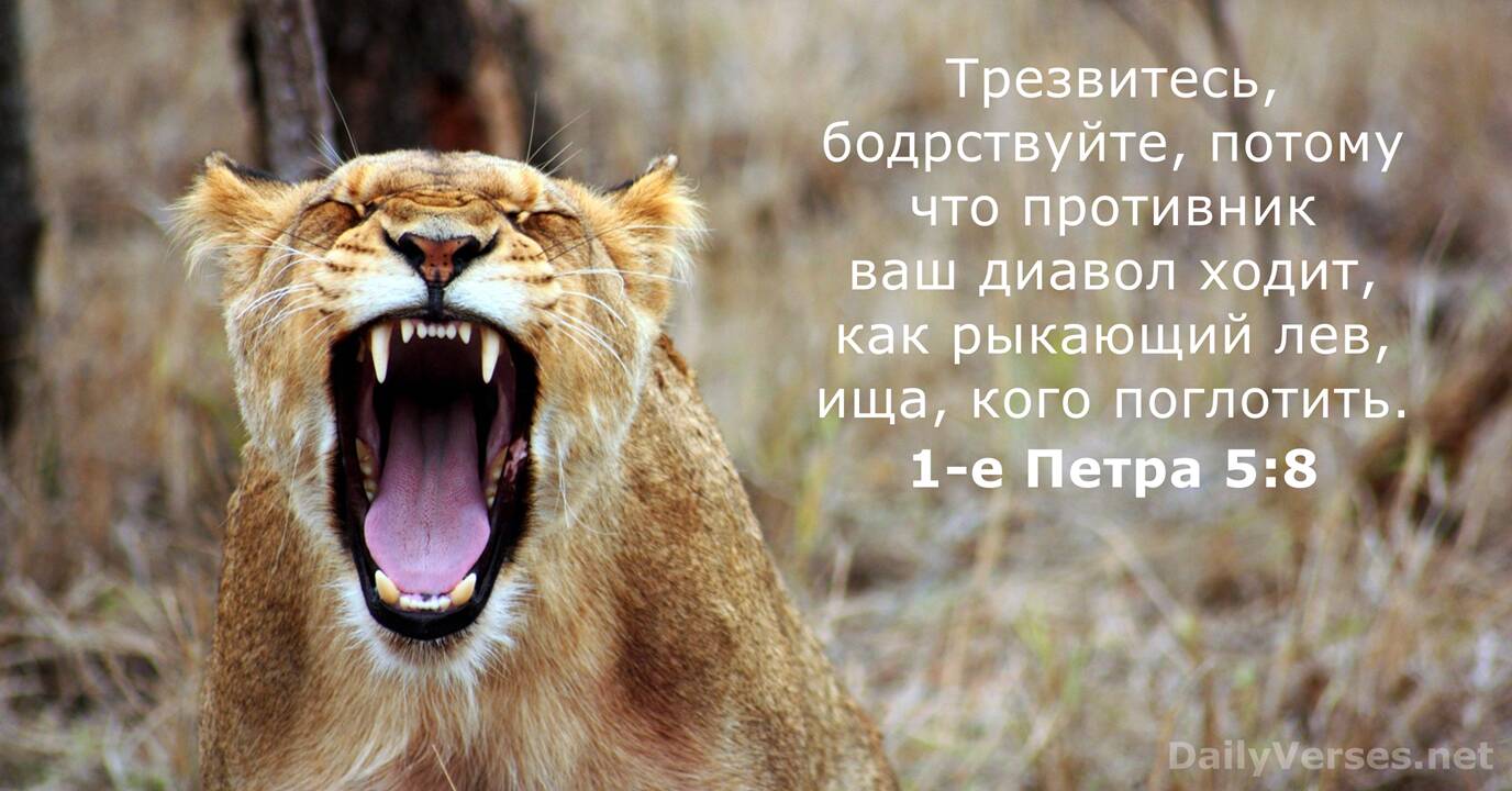 Как правильно пишется: похож или похожь? Быстрый определитель правописания слова!