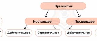 Как правильно пишется третье или третее разбираемся в правописании