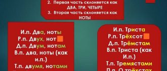 Как правильно склонять числительное триста в русском языке: схемы и правила