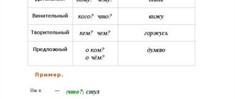 Как правильно склонять слово дом: секреты русской грамматики и полезные советы