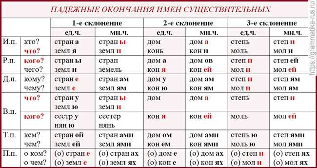 Как правильно склонять слово факел: правила и примеры