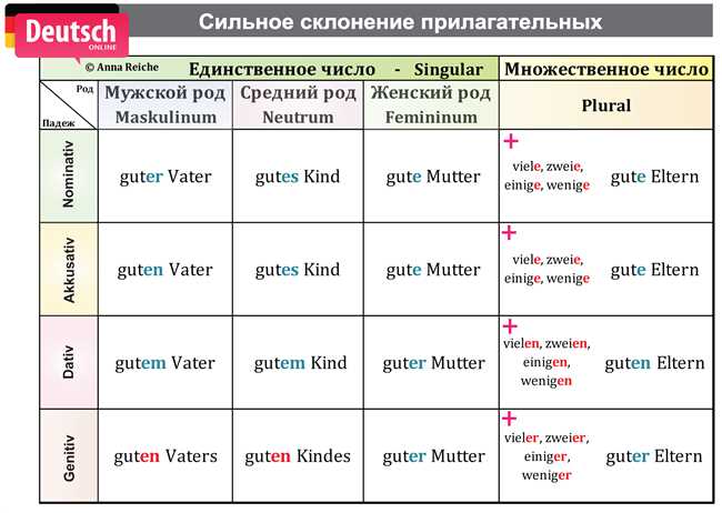 Правила склонения слова 