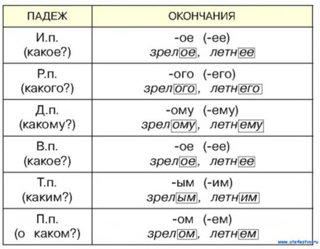 Как правильно склонять слово 