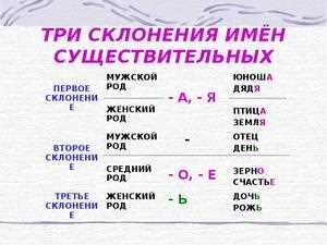 Как правильно склонять слово иней: правила и примеры