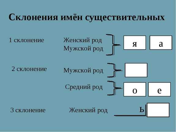 Как правильно склонять слово плинтус: правила склонения и советы