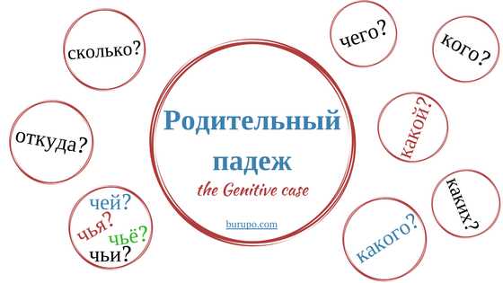 Как правильно склонять слово портфель в русском языке: основные правила и примеры