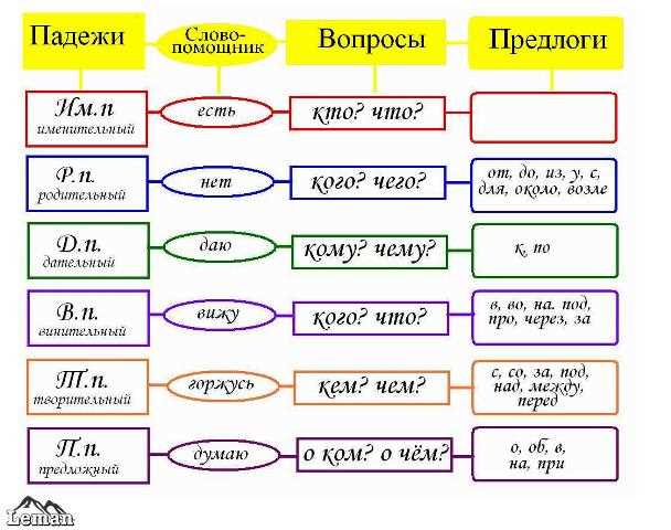 Винительный падеж: правила и примеры