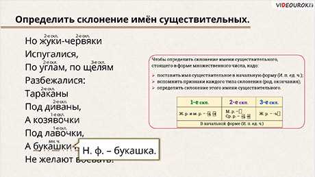 Основные правила склонения слова 