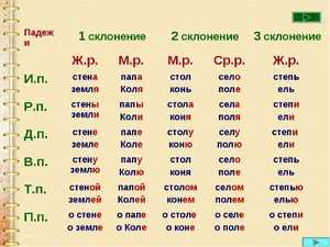 Как правильно склонять слово яблоко: грамотное склонение существительного