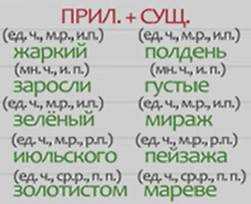 Как правильно согласовывать прилагательные с существительными: правила и примеры