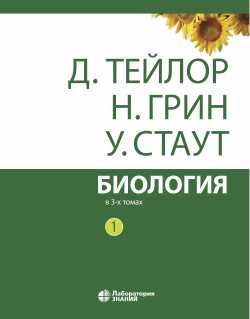 Идеи, которые встречаются в рассказе