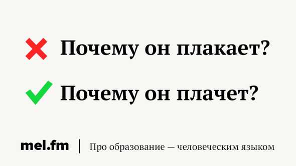 Как правильно спрягать глагол 