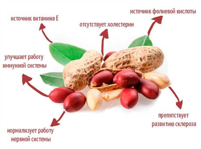 Правила ударения в слове 