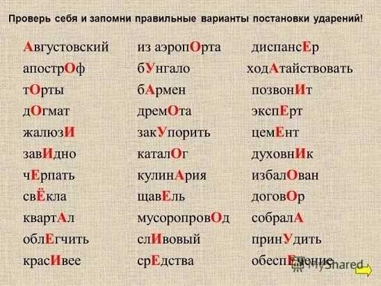 Как правильно ставить ударение в слове роженица: основные правила и рекомендации