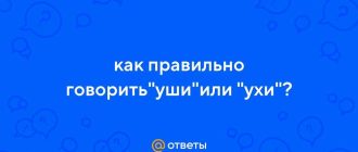 Как правильно уши или ухи правила использования и произношения