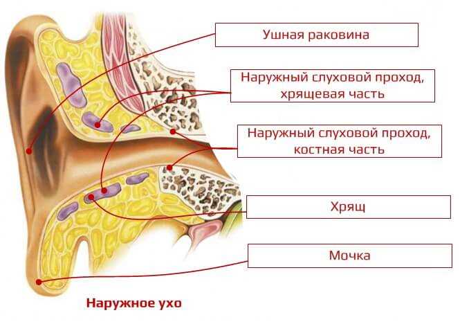 3. Визуальное отличие