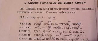 Как выбрать проверочное слово к слову СЕМЕНА: советы и рекомендации