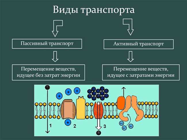 Примеры диффузии: