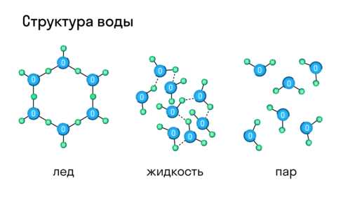 Структура слова 