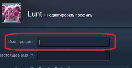 Как сделать пустой ник в стиме: простой гайд