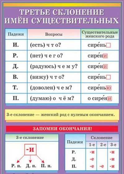 3. Множественное число существительных