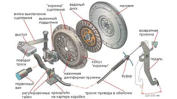 Как снять сцепление с мотокосы БК (Калибр)?