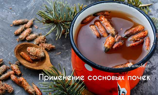 Как использовать сосновый сок в кулинарии