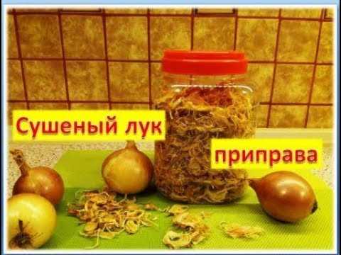 Шаг 1: Купите свежий репчатый лук.