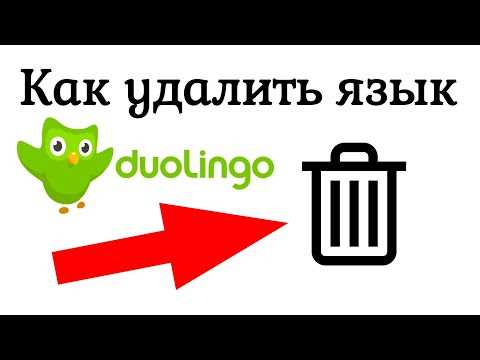 Как удалить курс в приложении Duolingo: подробная инструкция