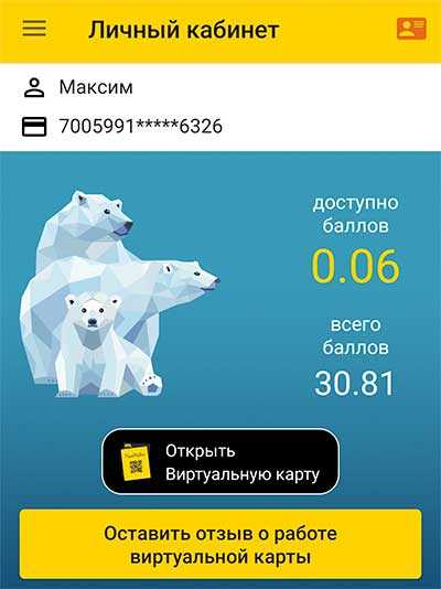 Как узнать количество бонусов на карте Роснефть Семейная команда: способы проверки баланса