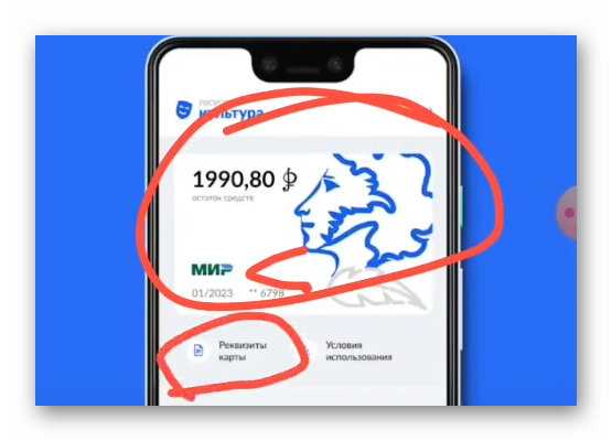 Как узнать реквизиты Пушкинской карты: платежные данные и номер счета