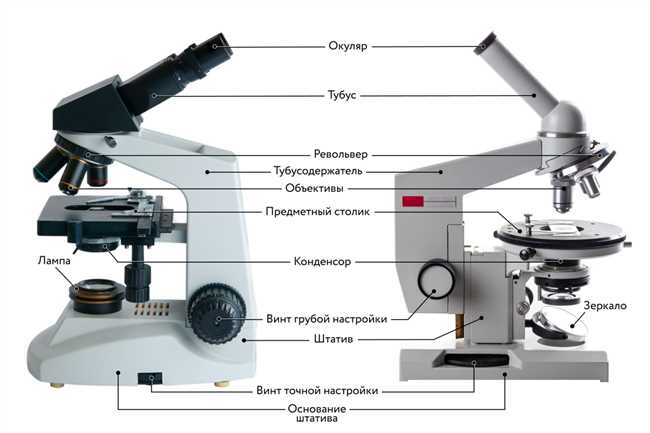 Использование микроскопа