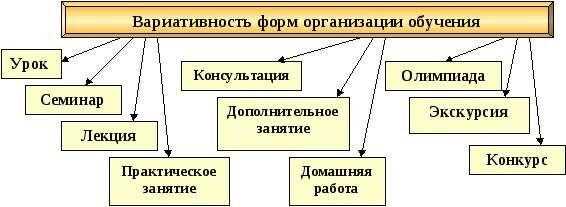 Частные школы: выбор лучшего образования для вашего ребенка