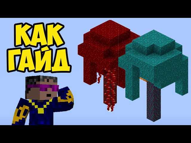 Как выращивать грибы в Minecraft: полезные советы и рекомендации