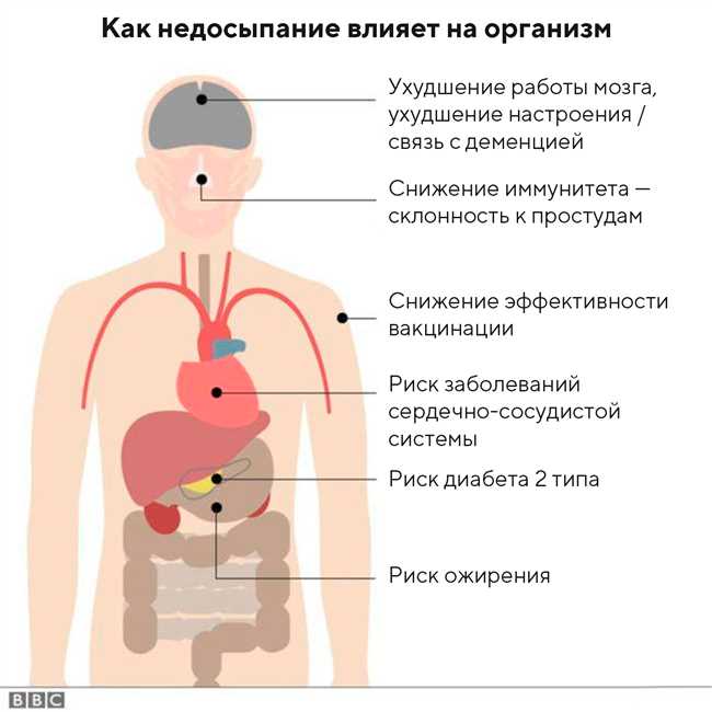 Основные принципы здорового образа жизни: