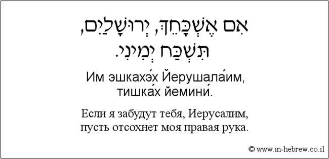 Как звучит на иврите фраза Я ТЕБЯ ЛЮБЛЮ: узнайте, как произносить любовное выражение на иврите