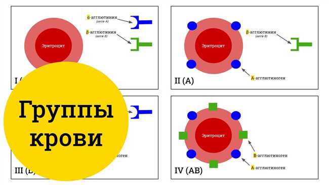 Группа крови AB