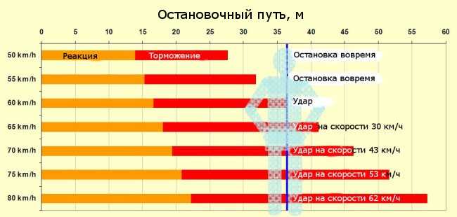 Какая обычно скорость движения пешехода? Статистика и факторы, влияющие на скорость