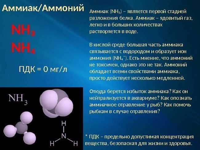 Рыбы как холоднокровные животные