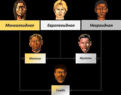 Какие национальности относятся к Мусульманам | Информация и анализ