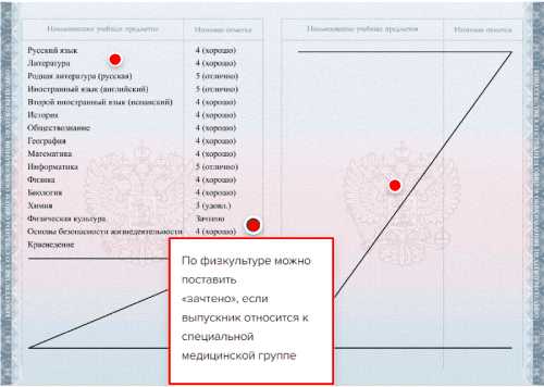 Оценки по основным предметам