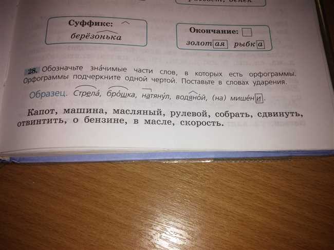 Какое проверочное слово к слову грачи Загадка русского языка - полезные советы