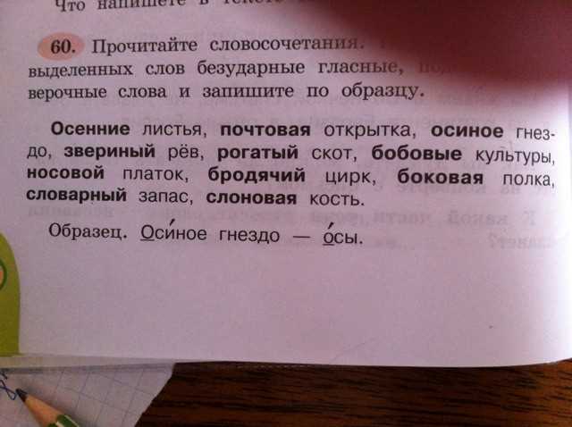 3. Здравый смысл говорит, что...