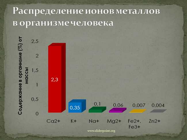 Железо: основной металл в организме человека