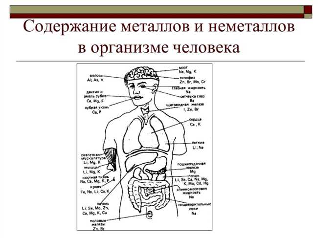 3. Участие в передаче нервных импульсов