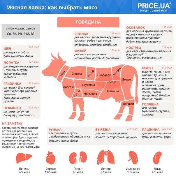 Какую часть туши свинины и говядины использовать для приготовления гуляша
