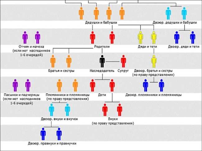 Определение племянницы и её родственных связей